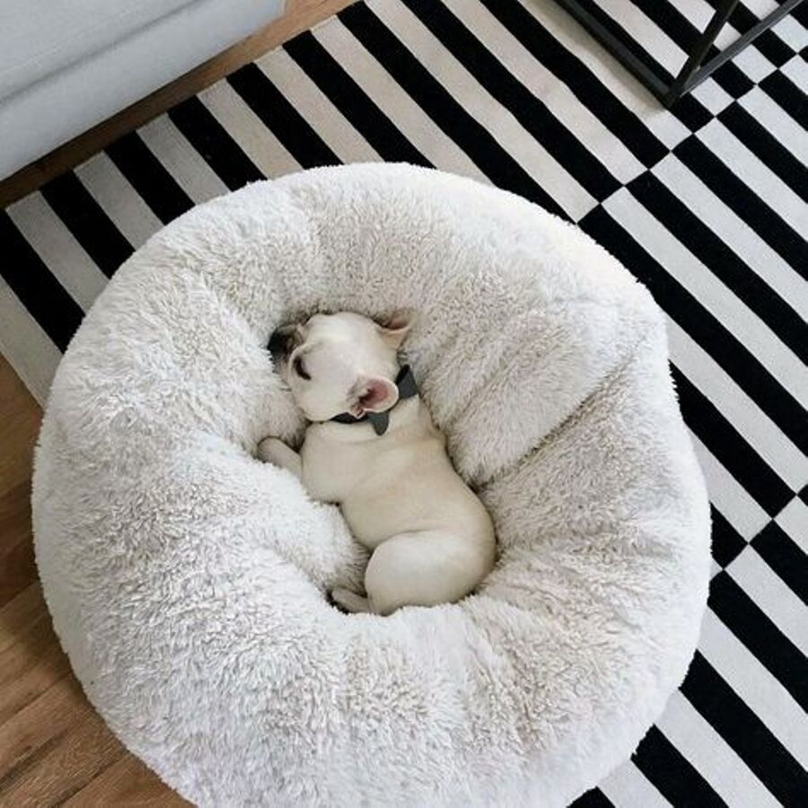 Calming Dog Bed Australia | Anti Anxiety Dog Bed