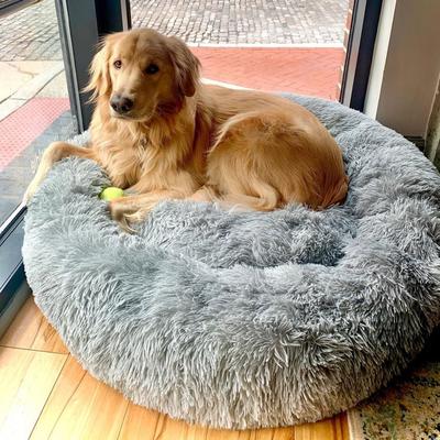 Calming Dog Bed Australia | Anti Anxiety Dog Bed