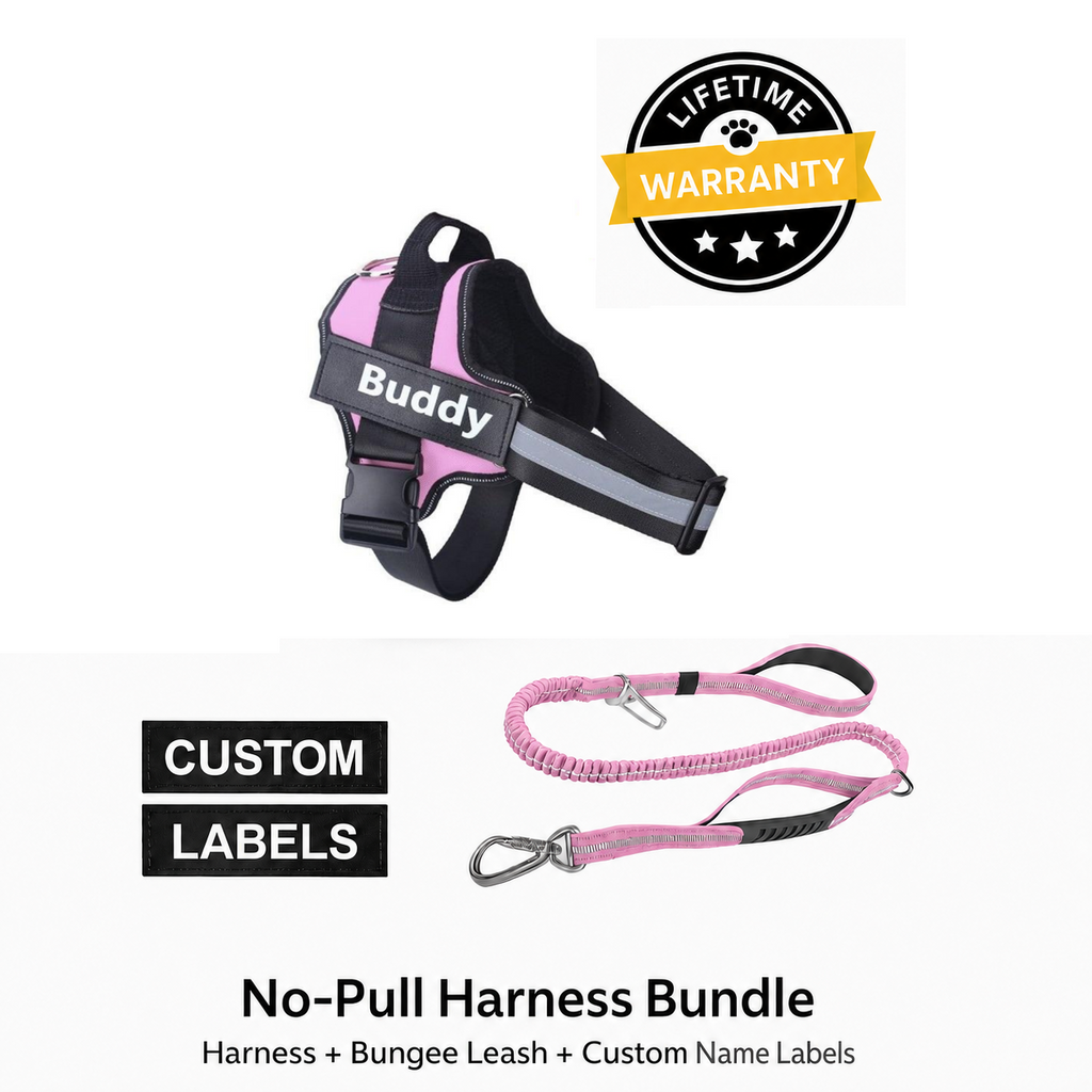 No Pull Dog Harness + 2 in 1 Dog Car Leash