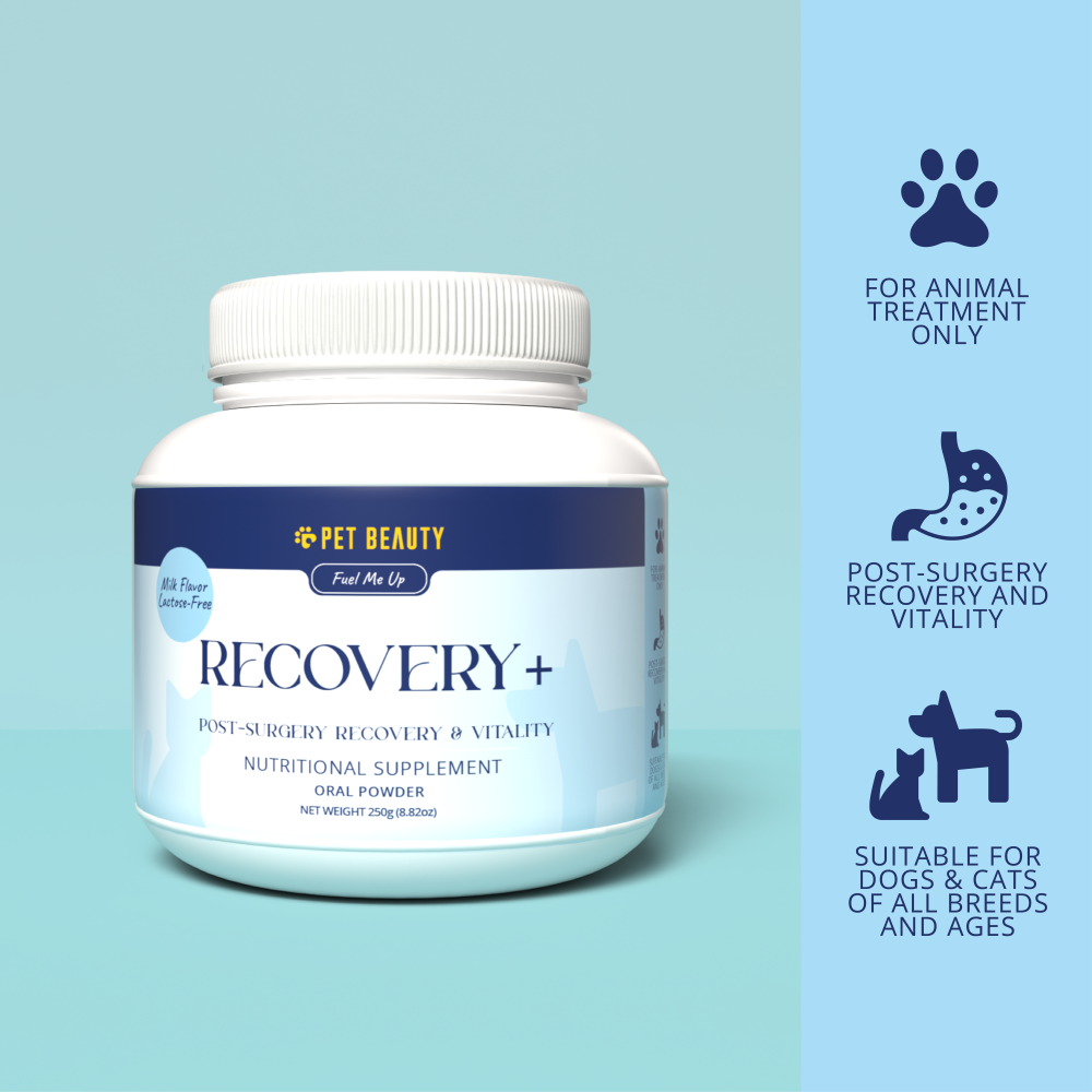 RECOVERY  + Nutritional Supplement 250g