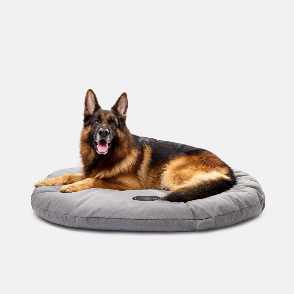 Tuff Canvas Machine Washable Dog Bed
