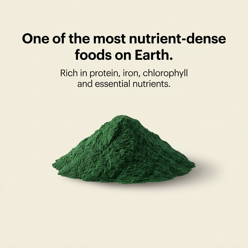 Australian Freeze Dried Spirulina